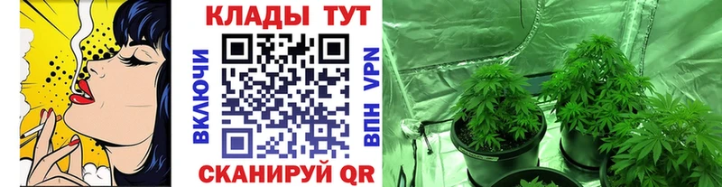 Продажа наркотиков Завитинск СК Кокаин Меф ГАШИШ