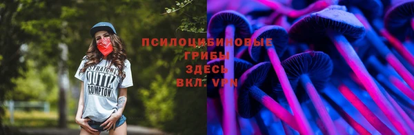 мдпв Дмитровск