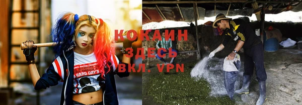 мдма Дмитриев