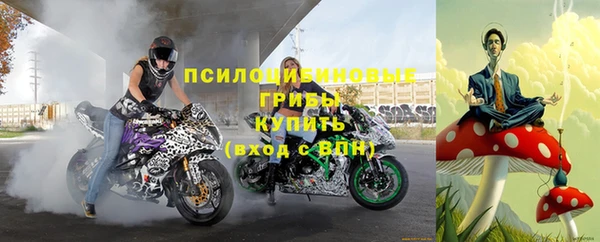 мдпв Дмитровск