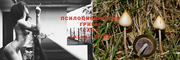 таблы Дмитров