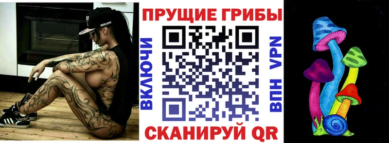 нарко площадка клад  купить наркотики цена  блэк спрут ONION  Завитинск  Галлюциногенные грибы GOLDEN TEACHER 